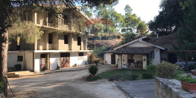 20250204120312-924468-2