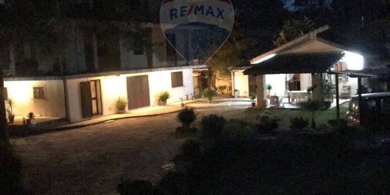 20250204120318-924468-6