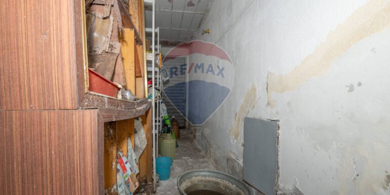 20250206101704-896501-8