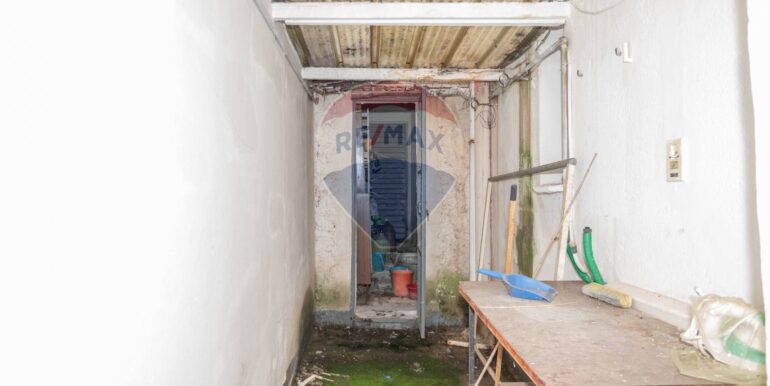 20250206101706-896501-9