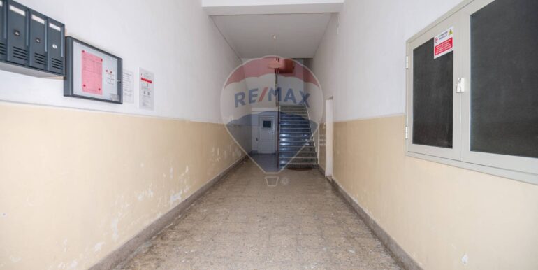 20250206101719-896501-15