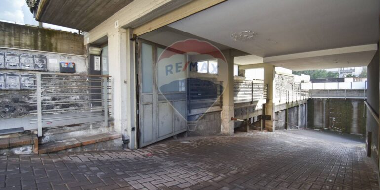 20250210225230-928690-15