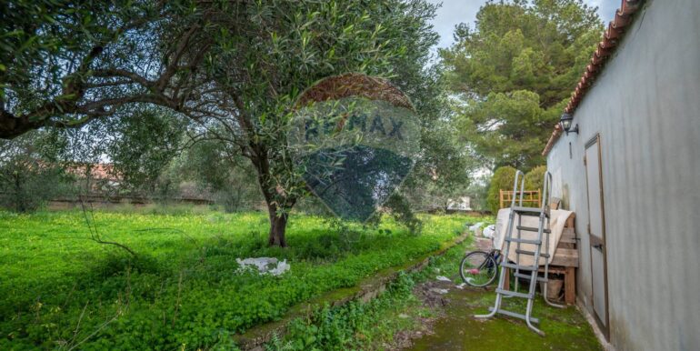 20250212211303-928686-4