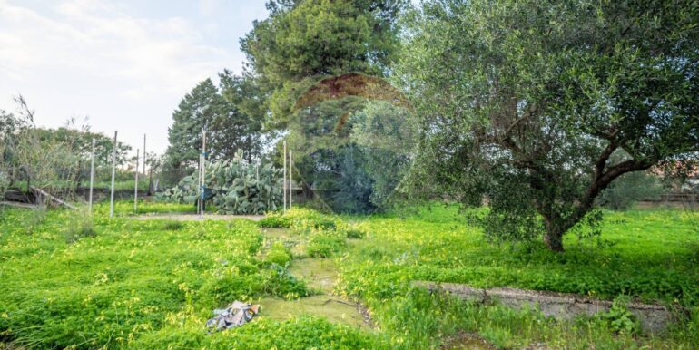 20250212211307-928686-5