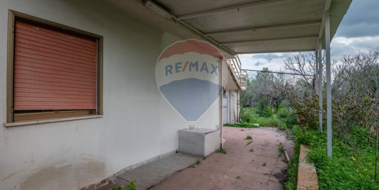 20250212211310-928686-6