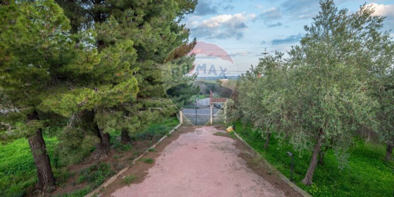 20250212211323-928686-10