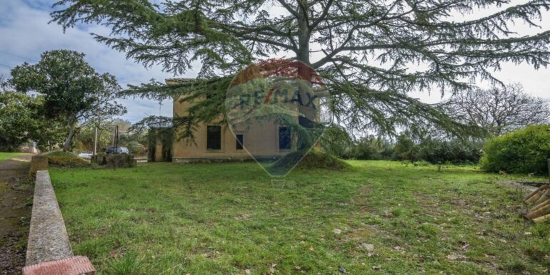 20250213182059-919722-20