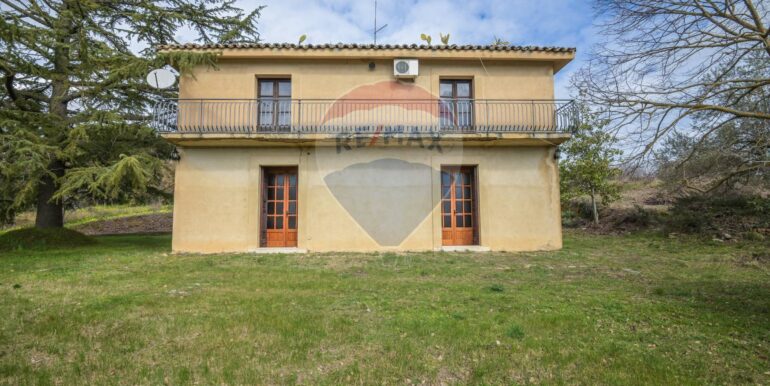 20250213182252-919722-55