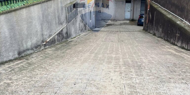 20250218120607-930203-1