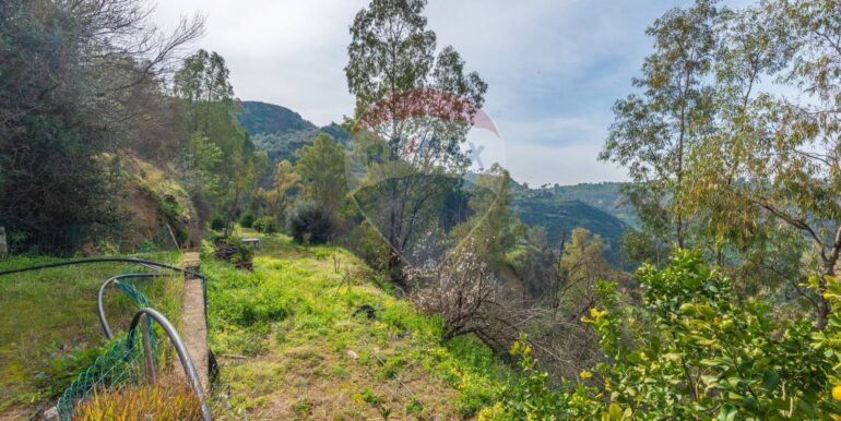 2025021871721-924468-9