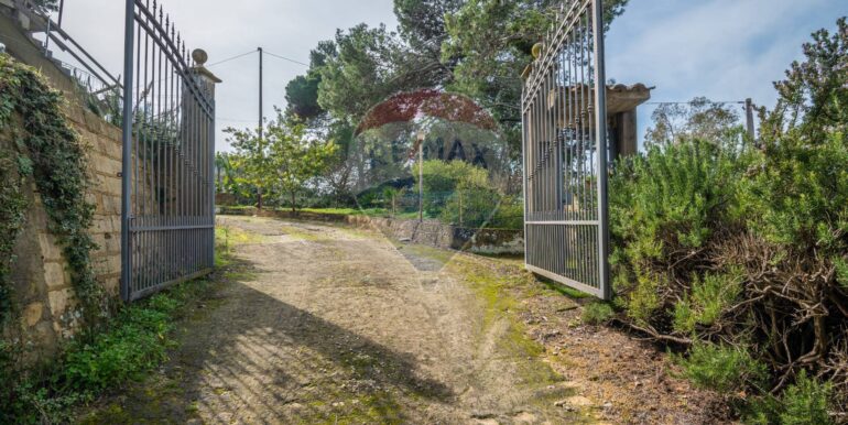 2025021871733-924468-12