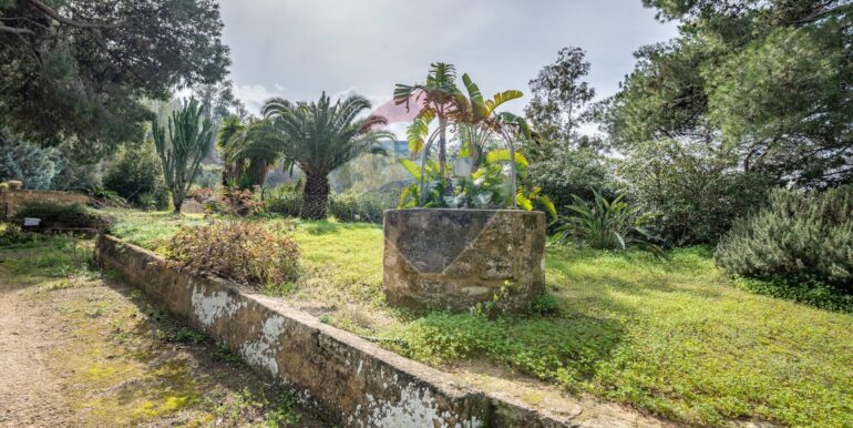 2025021871753-924468-17