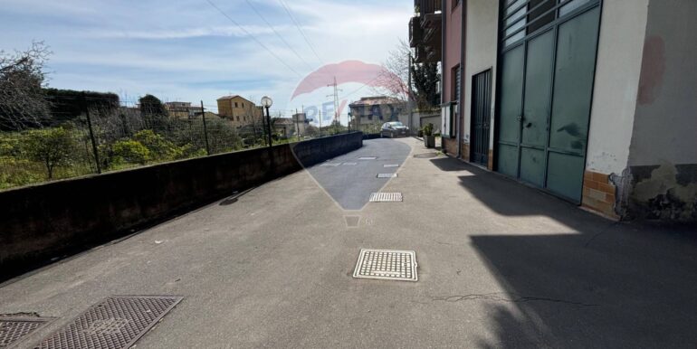 20250224130530-930950-18