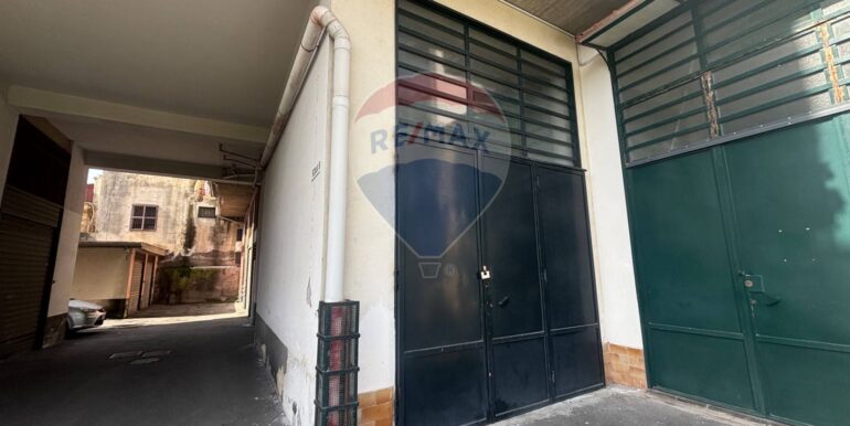 20250224130532-930950-19