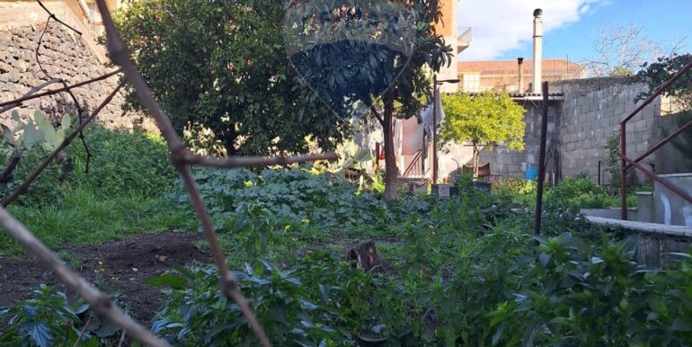 20250226235902-932539-1