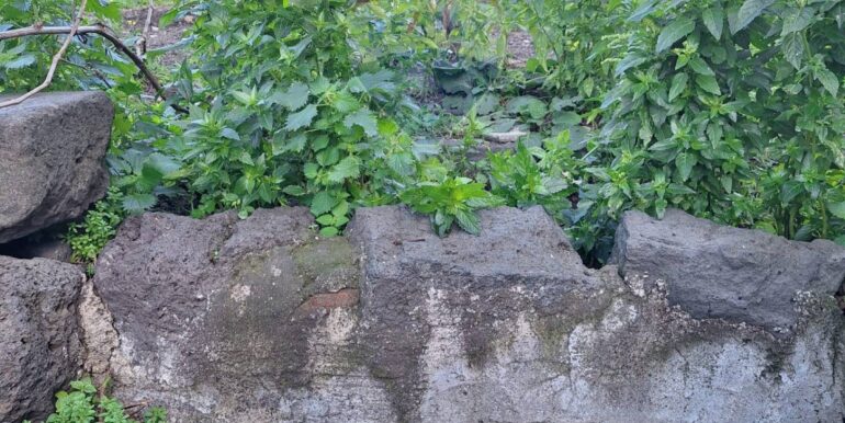 20250226235908-932539-2