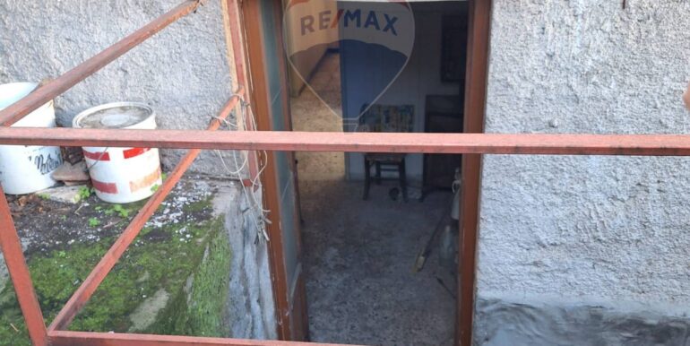 20250226235912-932539-3