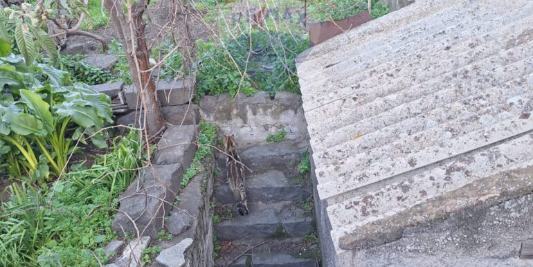 20250226235930-932539-9