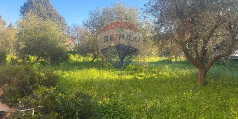 20250311150757-920840-29