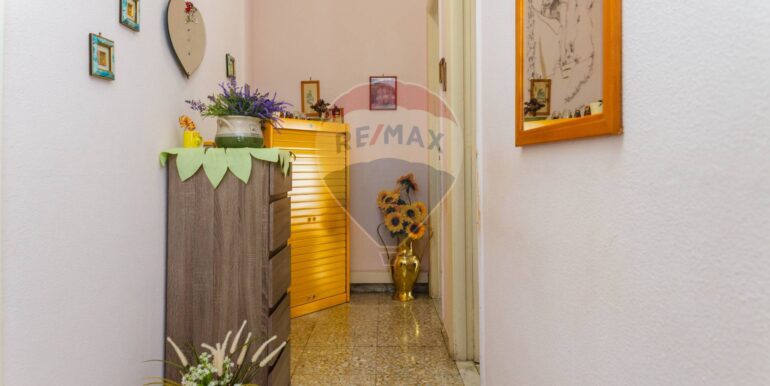 20250312201412-935405-11