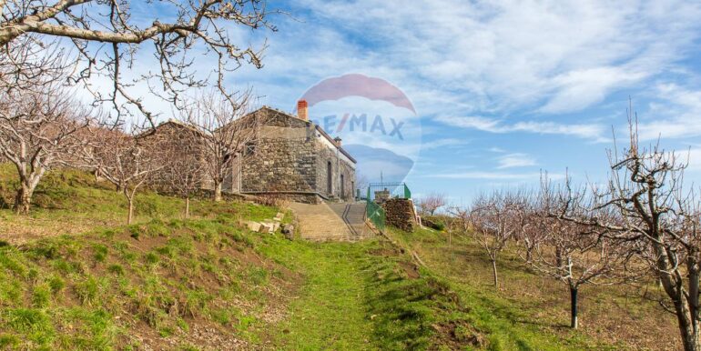 20250319124306-937498-1