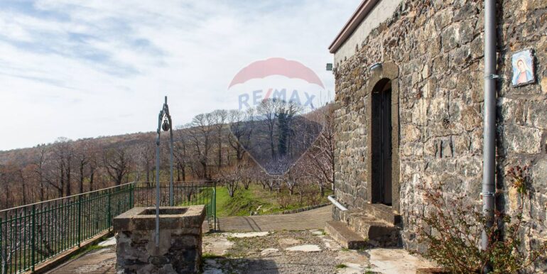 20250319124311-937498-3