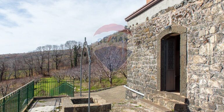 20250319124317-937498-5