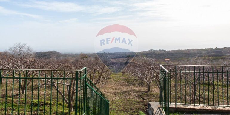 20250319124320-937498-6