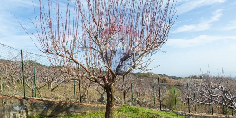 20250319124322-937498-7