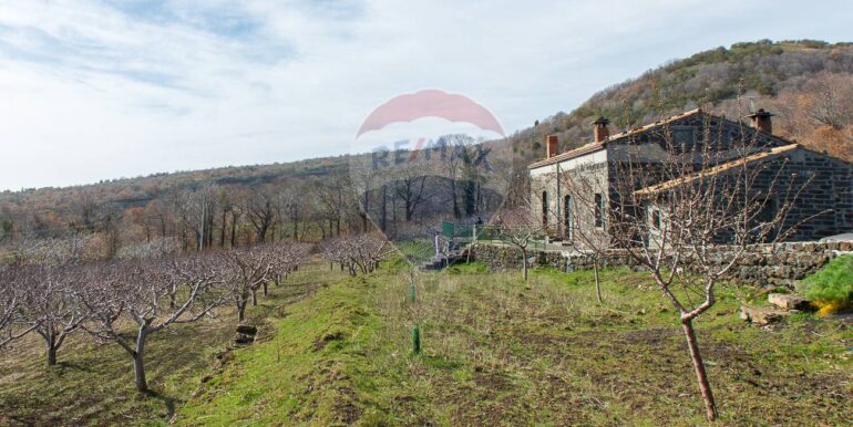 20250319124325-937498-8