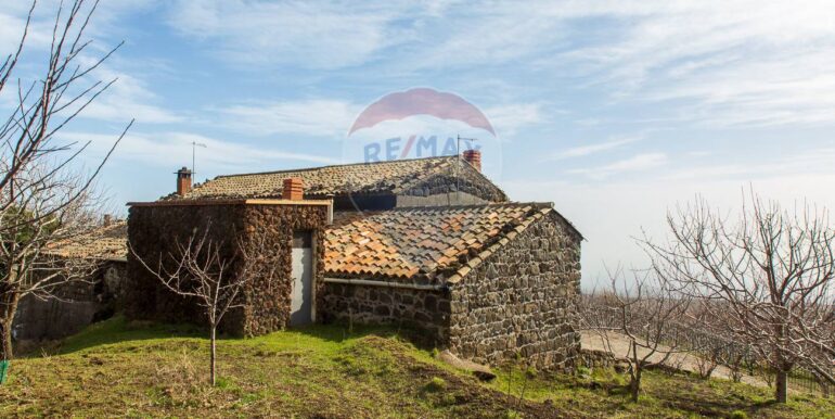 20250319124333-937498-10