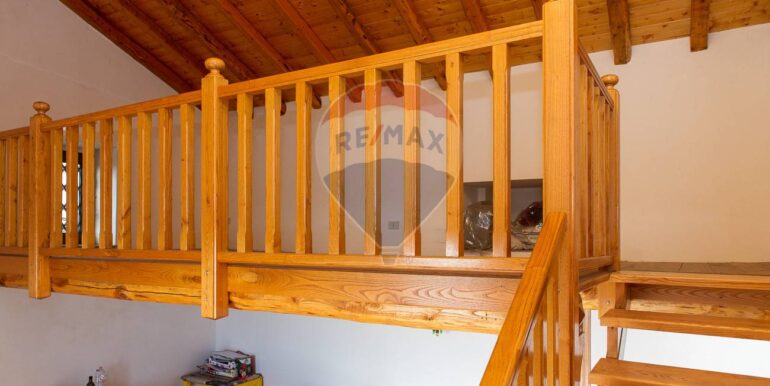 20250319124405-937498-20