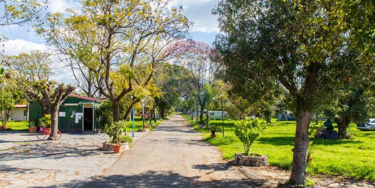 20250412170041-936105-12