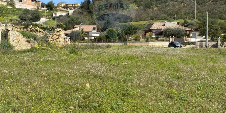 20250415145144-944019-1