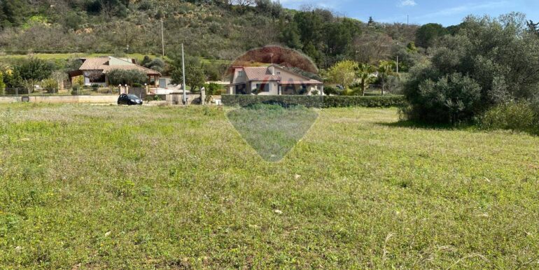 20250415145146-944019-2