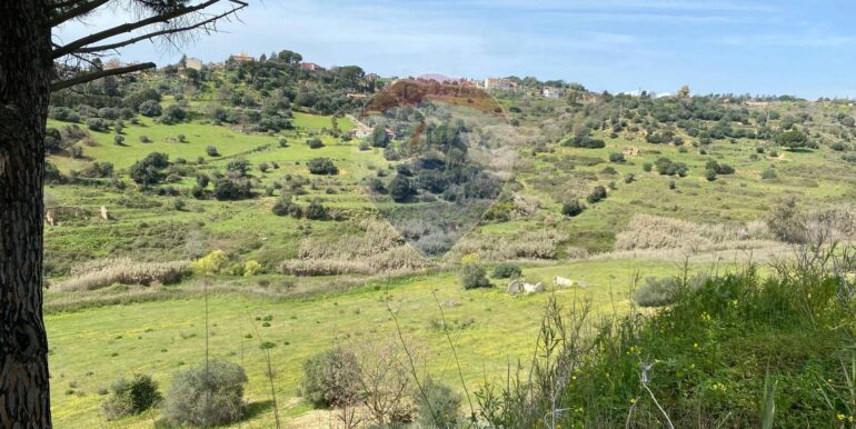 20250415145153-944019-5