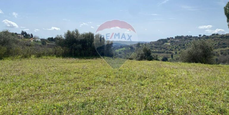 20250415145203-944019-10