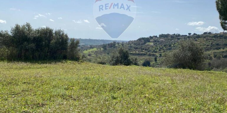 20250415145207-944019-12