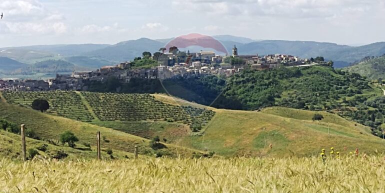 20250510192118-943605-4