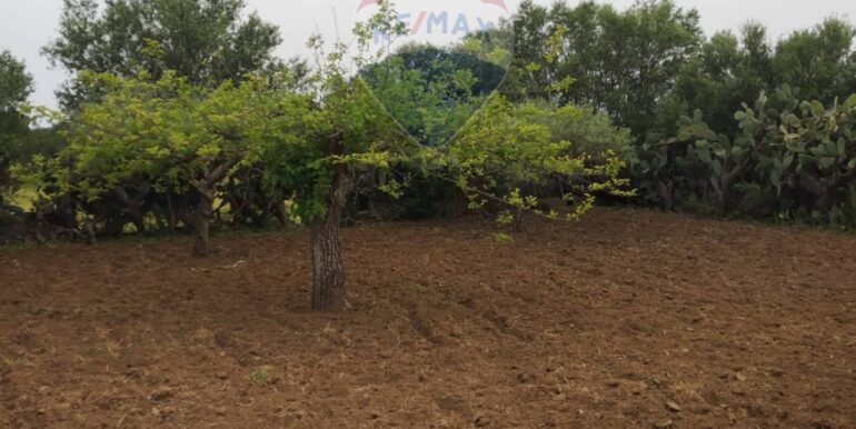 20250511220438-947946-21