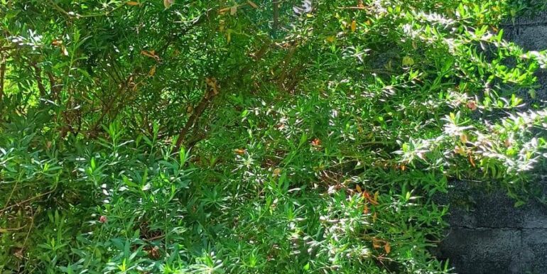 20250609200723-956490-13