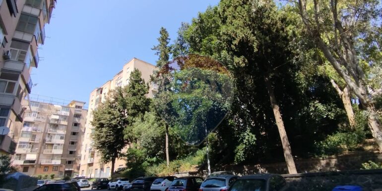 20250611224702-958034-17