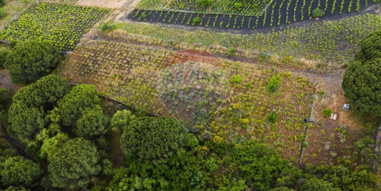 20250613175001-949275-3