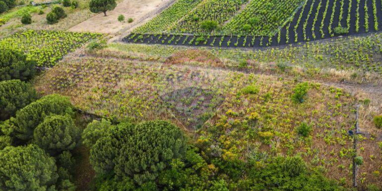 20250613175005-949275-4