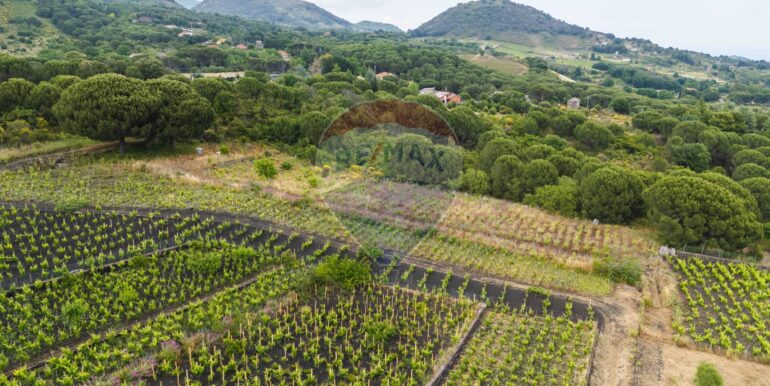 20250613175009-949275-5