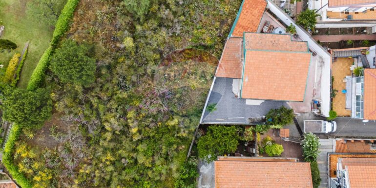 20250619115502-949206-5