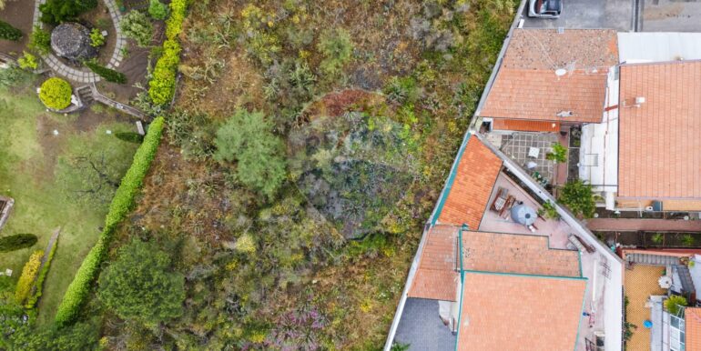 20250619115507-949206-6