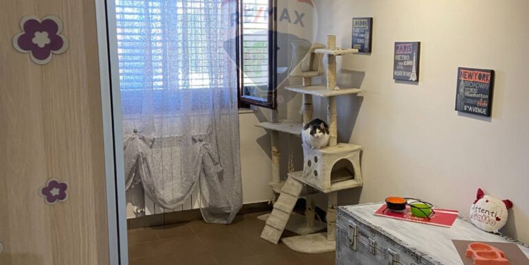 2025062102926-960305-9