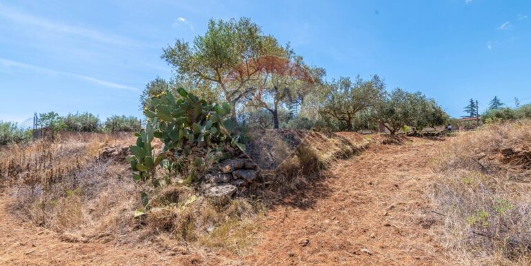 20250703122356-963587-20