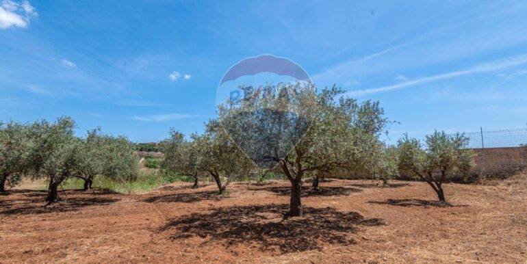 20250703122400-963587-21